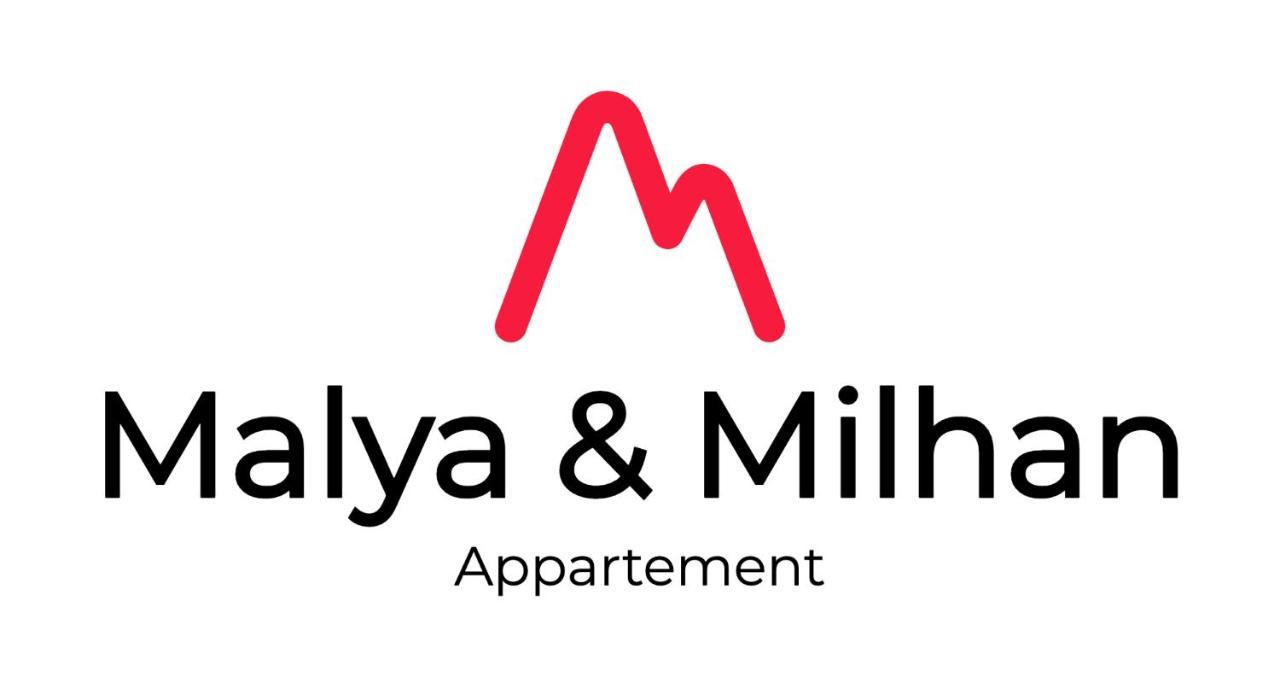 Appartement Milhan Quartier Aigle Championnet 格勒诺布尔 外观 照片